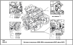 Датчики системы управления двигателем УМЗ-4216 на автомобилях Газель и Соболь, выключатели и реле, обозначение, размещение и назначение