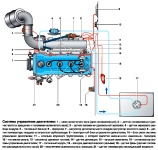 Система управления двигателем ЗМЗ-40522 на Соболь ГАЗ-2217, ГАЗ-2752, ГАЗ-2310, конструкция, схемы системы, блок управления Микас 7.1 и Микас 7.2