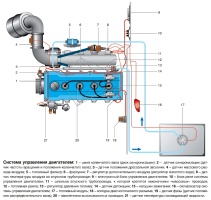 Принципиальная схема системы управления двигателя ЗМЗ-40522.10 на автомобилях Газель и Соболь