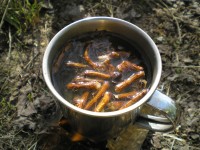 Заваривание кофейного напитка из корней одуванчика