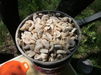 Порезанные для жульена грибы высыпать в сухую сковородку и поставить ее на средний огонь