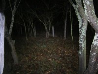 Фара DM-018 светит широким, не глубоким конусом, объекты, расположенные вне светового пятна подсвечены