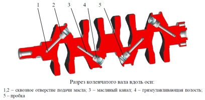 Разрез коленчатого вала ЗМЗ-409051.10 и ЗМЗ-409052.10 вдоль оси