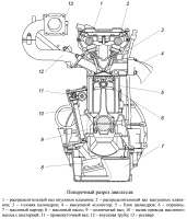 Поперечный разрез двигателя ЗМЗ–40522.10 для ГАЗель и Соболь