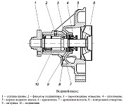 Водяной насос системы охлаждения двигателя ЗМЗ-40906, устройство и порядок работы