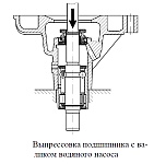 Выпрессовку подшипника водяного насоса двигателя ЗМЗ-409 производить на прессе или с помощью медной оправки